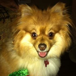 Meet your Posher, Chuck